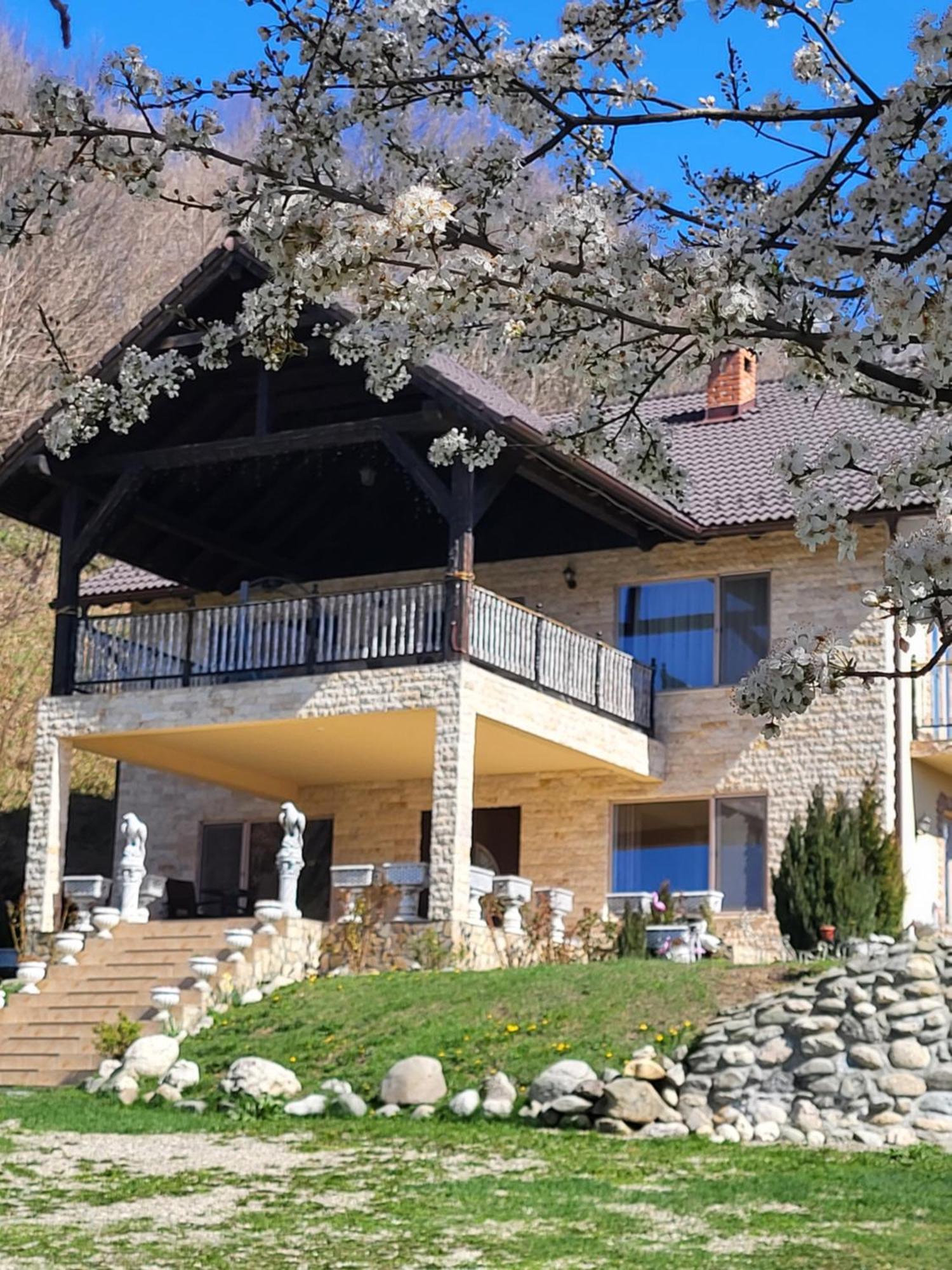 מלון Zărneşti Dumbrava Ursului מראה חיצוני תמונה